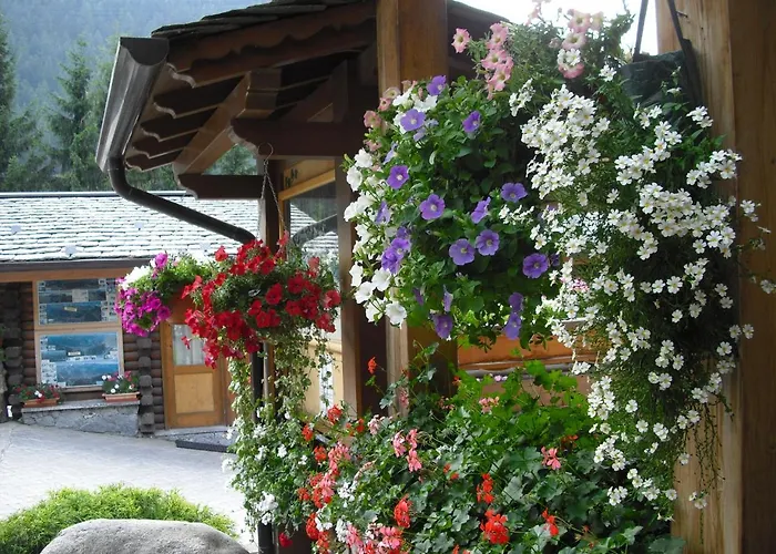 Cimapiazzi Campsite
