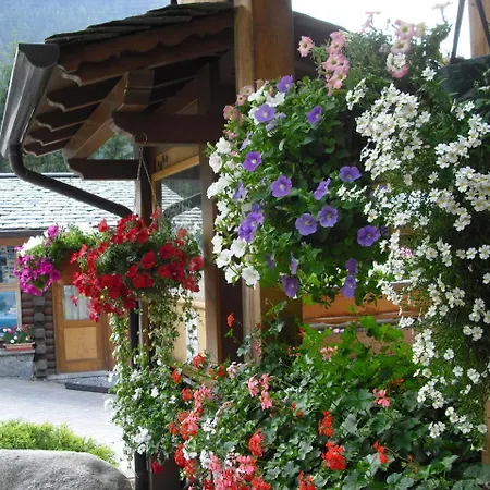 Cimapiazzi مكان تخييم